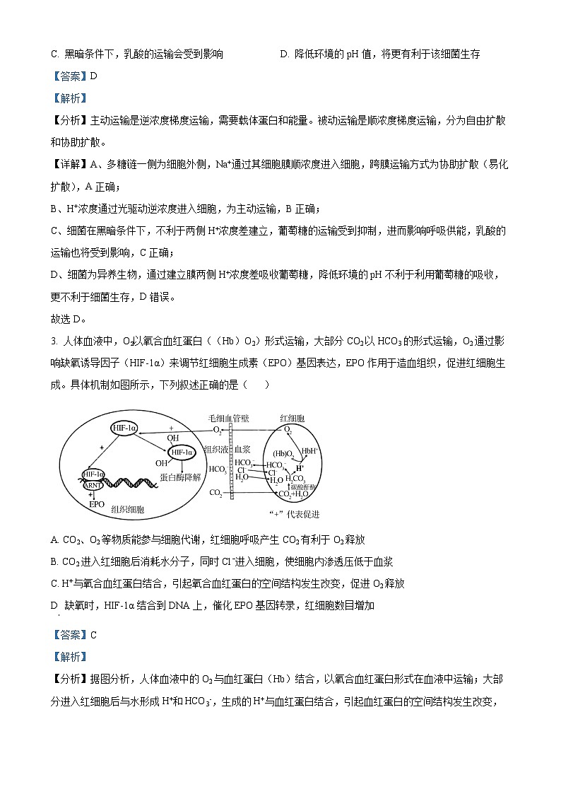 重庆市南岸区部分学校2024届高三下学期4月联合测试卷生物试题（解析版）第2页