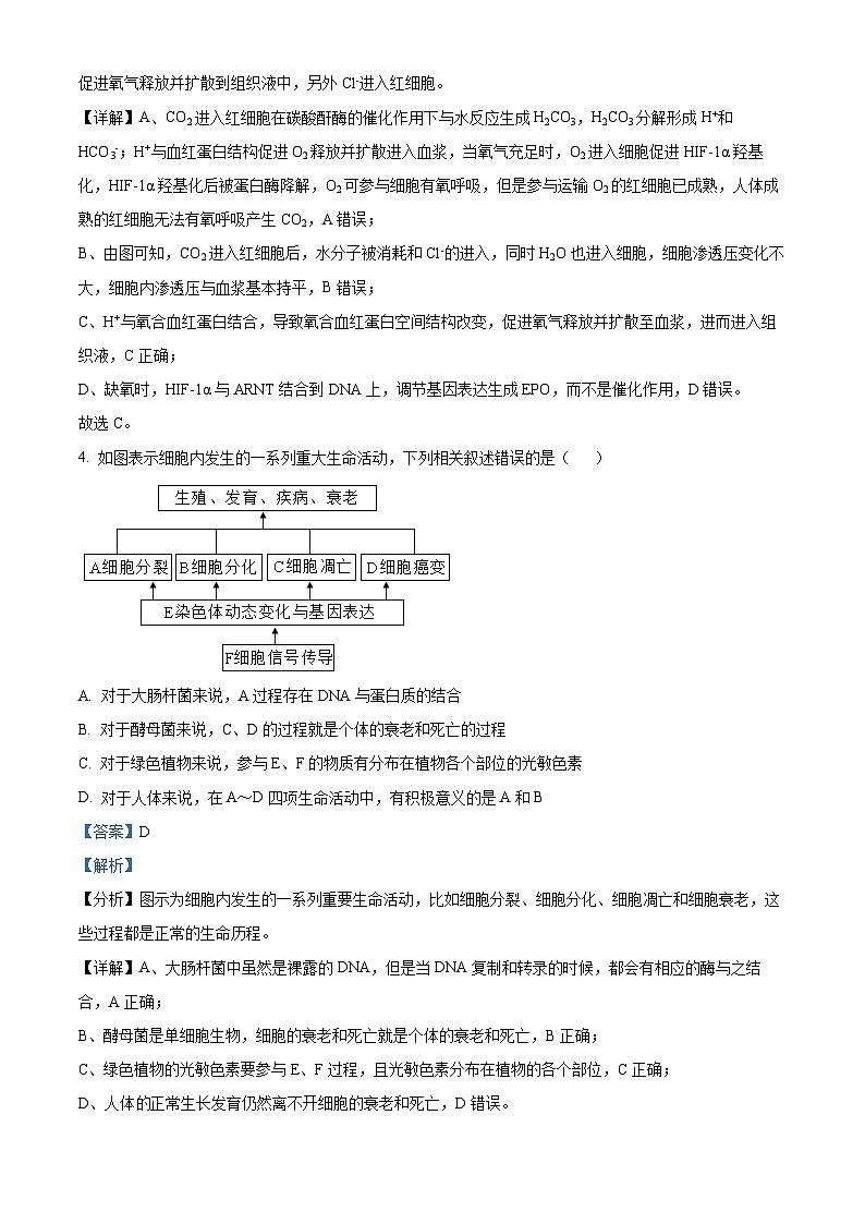 重庆市南岸区部分学校2024届高三下学期4月联合测试卷生物试题（解析版）第3页