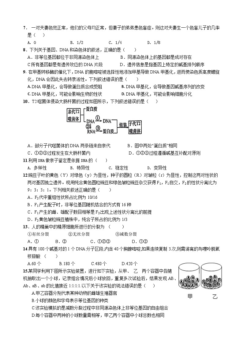 福建省厦泉五校联考2023-2024学年高一下学期4月期中考试生物试卷（Word版附答案）第2页