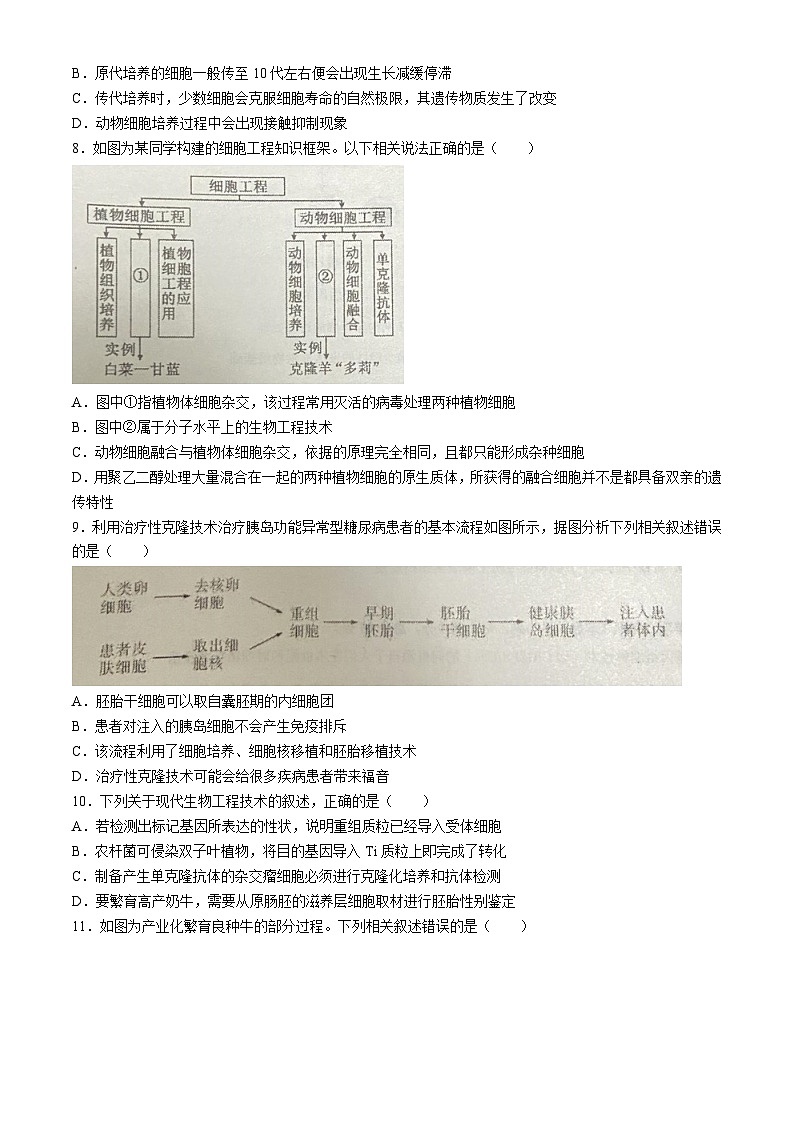 广东省东莞市三校2023-2024学年高二下学期4月期中联考生物试卷（Word版附答案）02