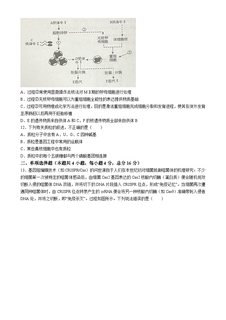 广东省东莞市三校2023-2024学年高二下学期4月期中联考生物试卷（Word版附答案）03
