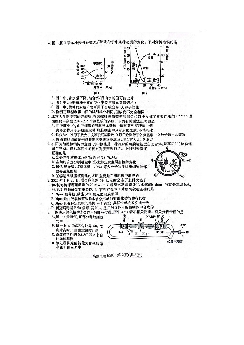 2023届山西省运城市稷山县高三上学期生物期中试题02