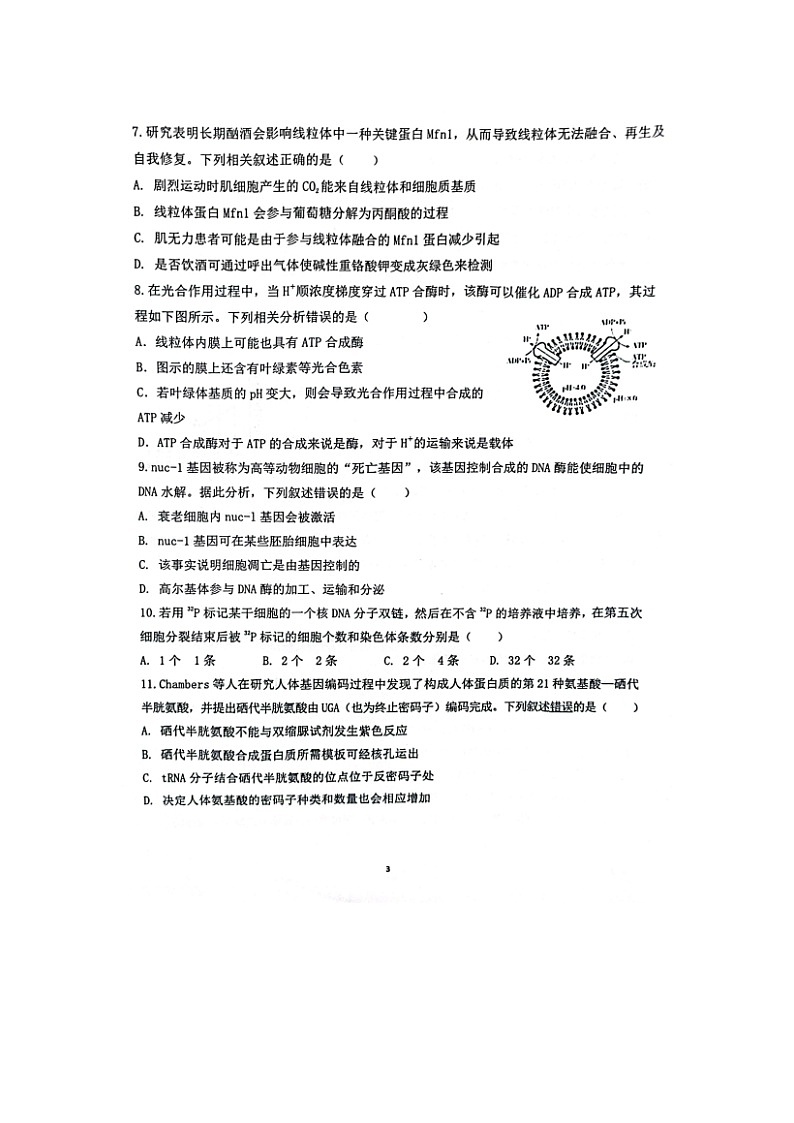 2023届山东省泰安市宁阳县高三上学期生物期中试题03