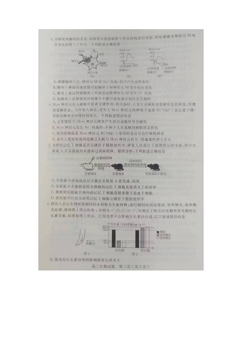 2023届山东省济宁市高二上学期生物期末考试题第2页