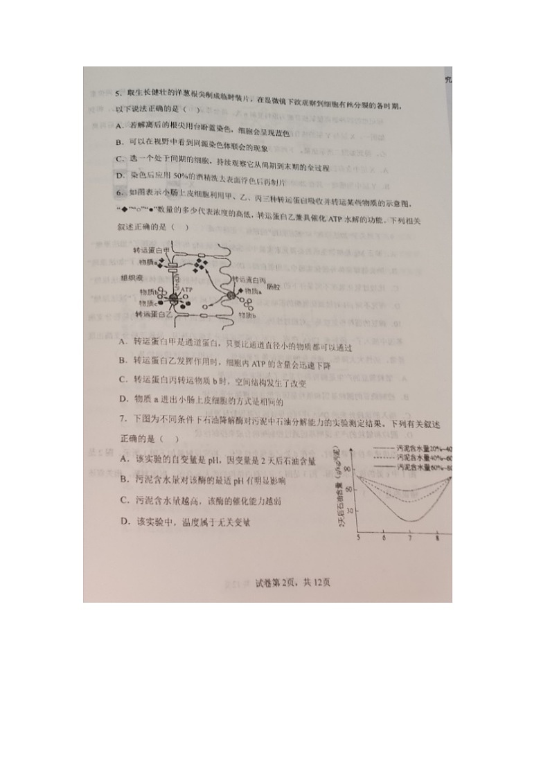 2023届辽宁省长海县高级中学高三上学期生物期中考试题02