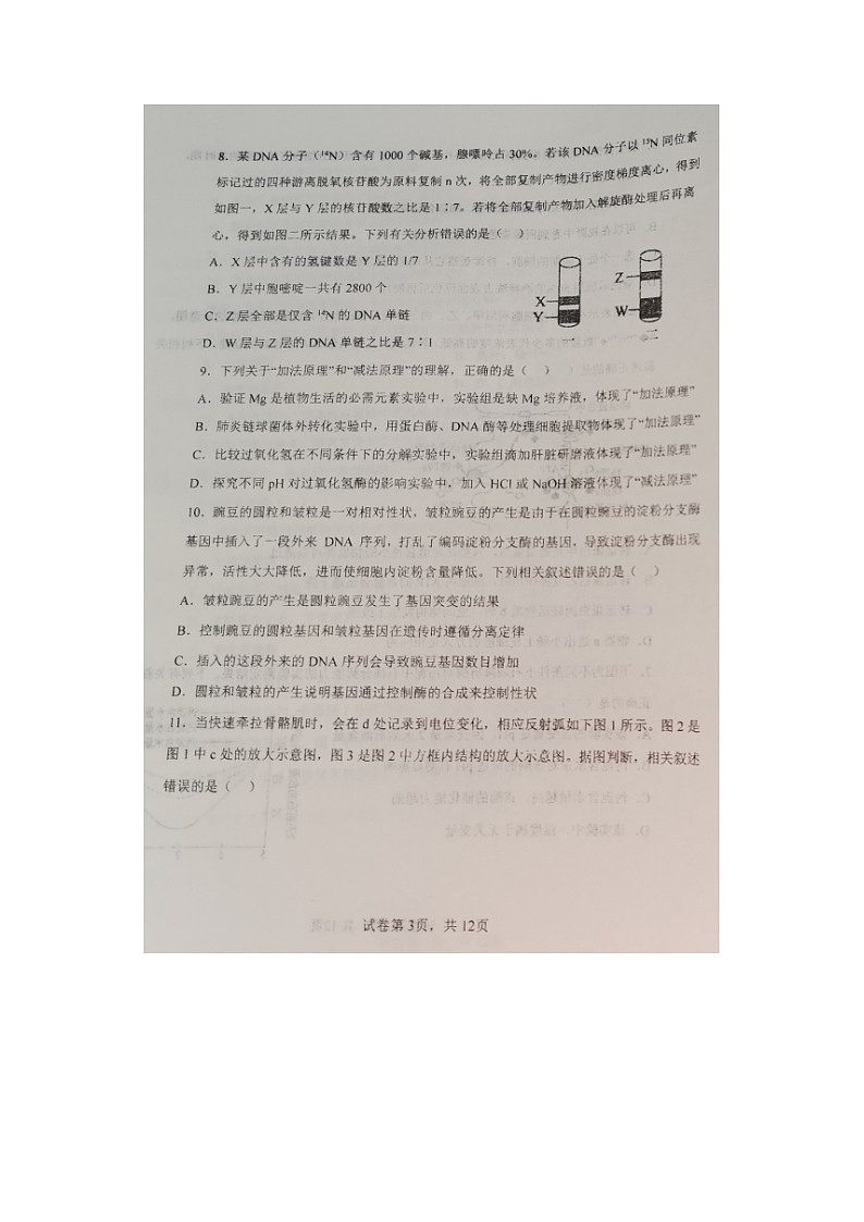 2023届辽宁省长海县高级中学高三上学期生物期中考试题03