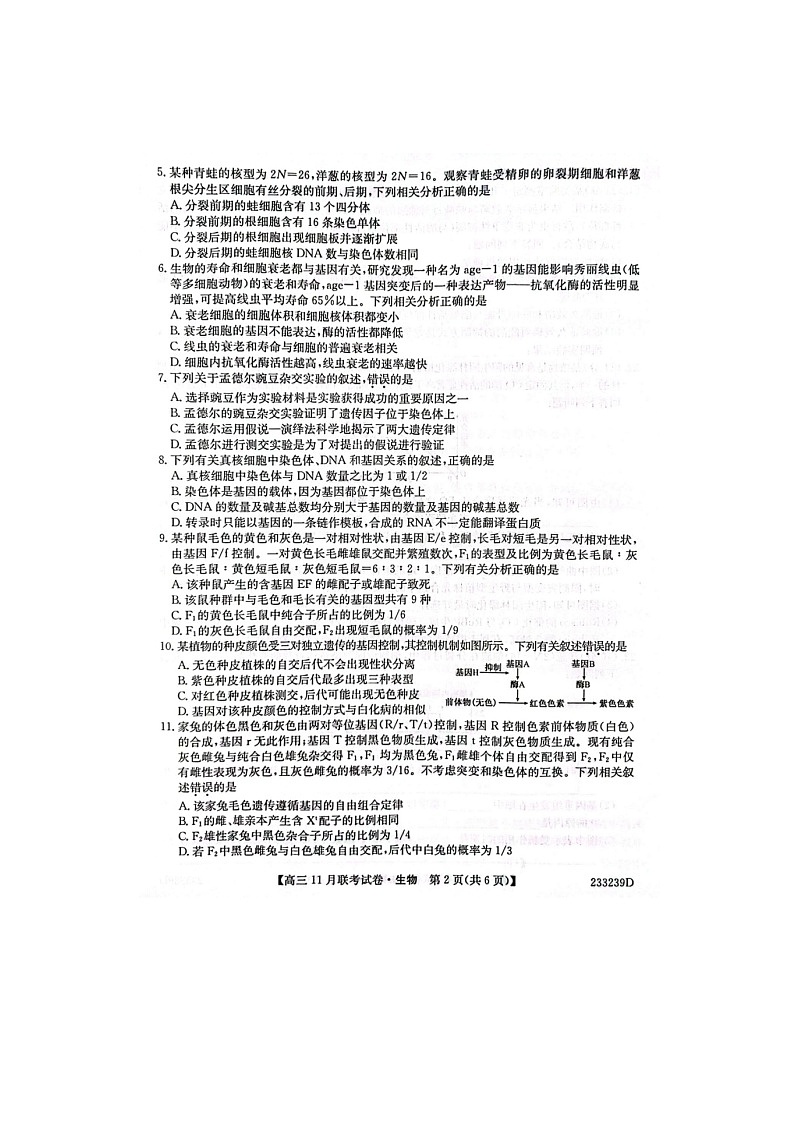 2023届辽宁省朝阳市建平县高三上学期生物期中试题02