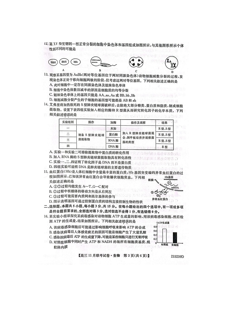 2023届辽宁省朝阳市建平县高三上学期生物期中试题03