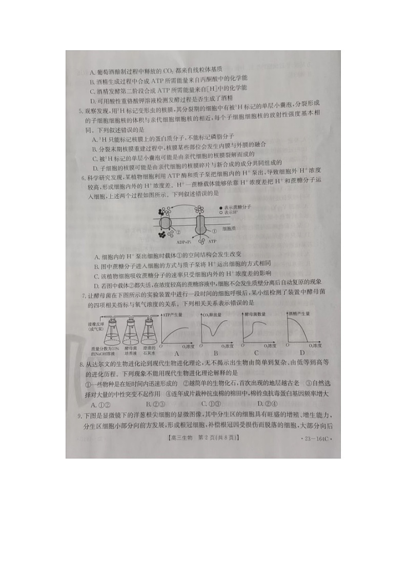 2023届辽宁省朝阳市高三上学期生物期中试题第2页
