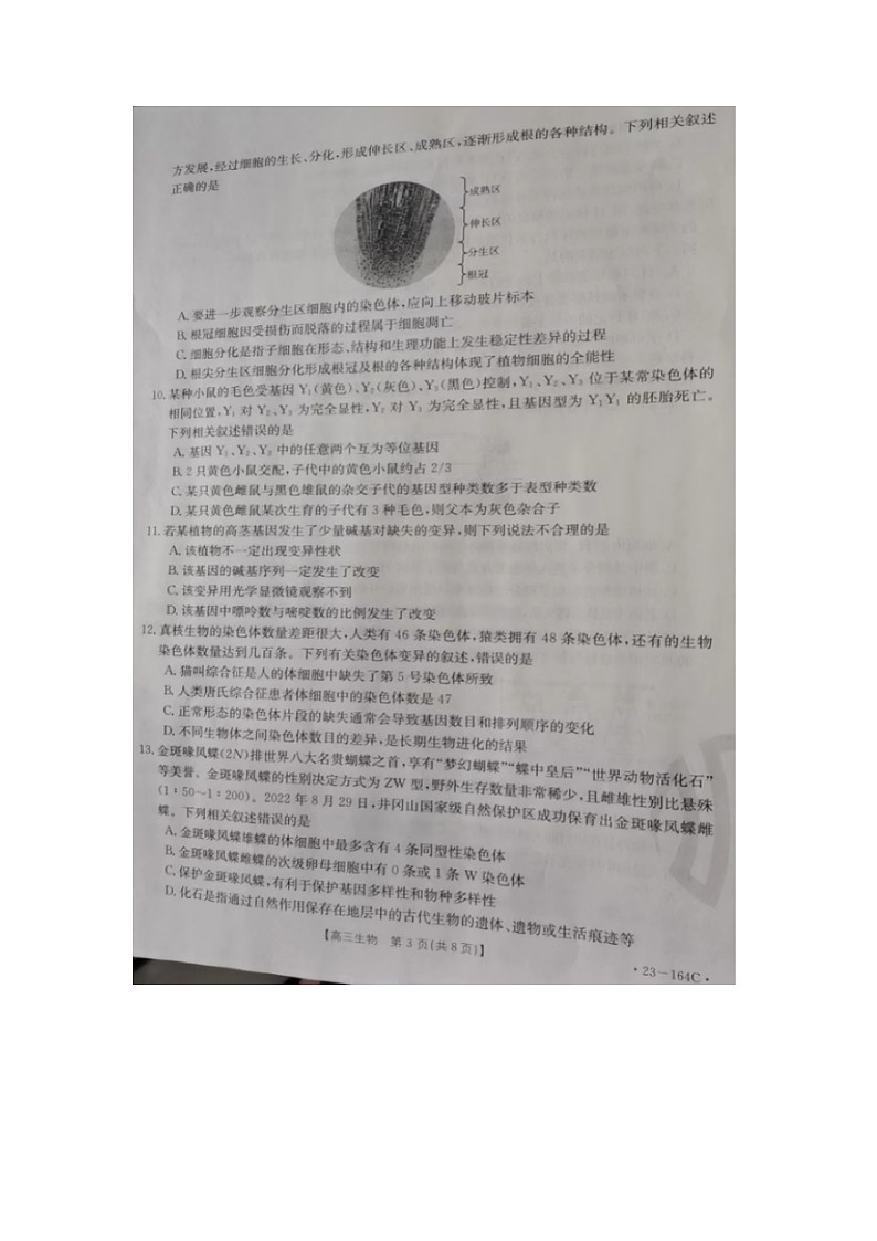 2023届辽宁省朝阳市高三上学期生物期中试题第3页