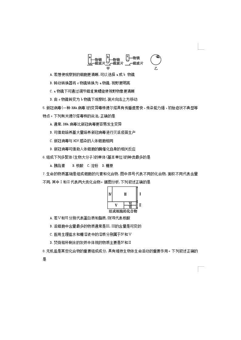 2023届江西省吉安市井冈山市宁冈中学高三上学期生物期中试题02