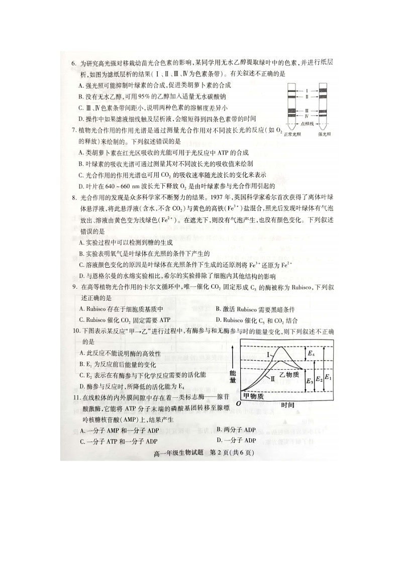 2023届江苏省徐州市沛县汉兴高级中学等2校高一上学期生物12月月考试题02