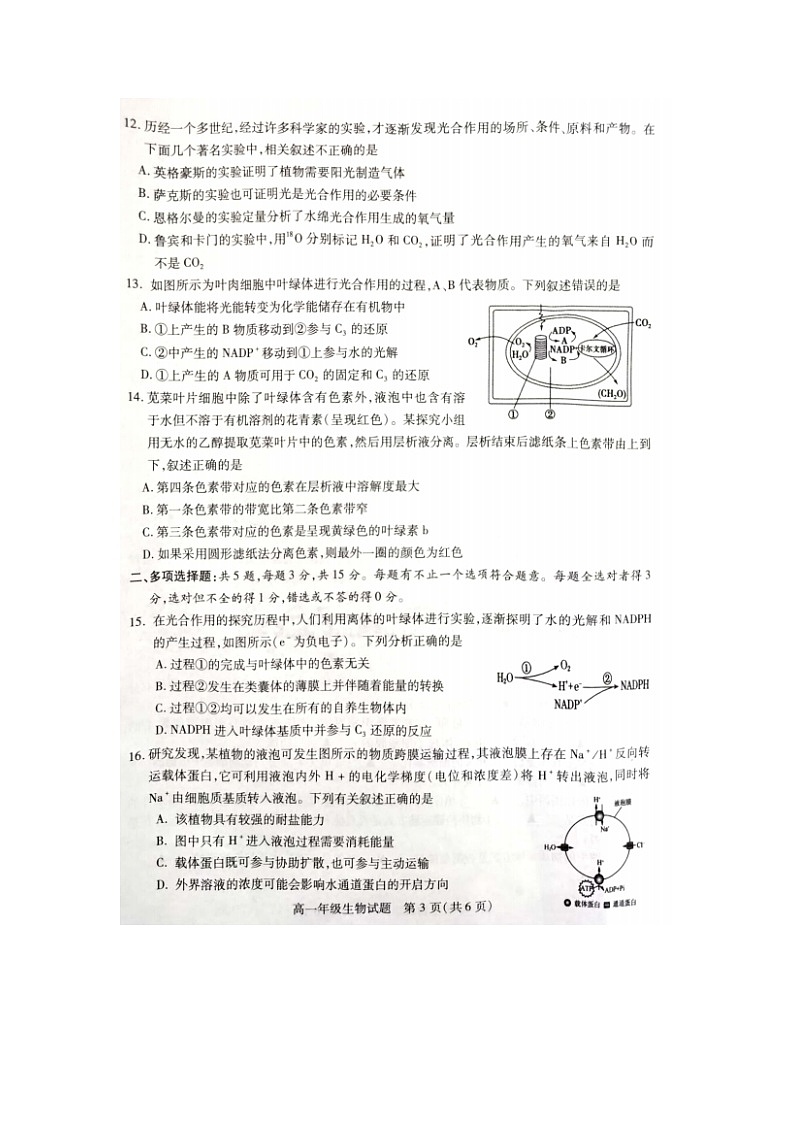 2023届江苏省徐州市沛县汉兴高级中学等2校高一上学期生物12月月考试题03