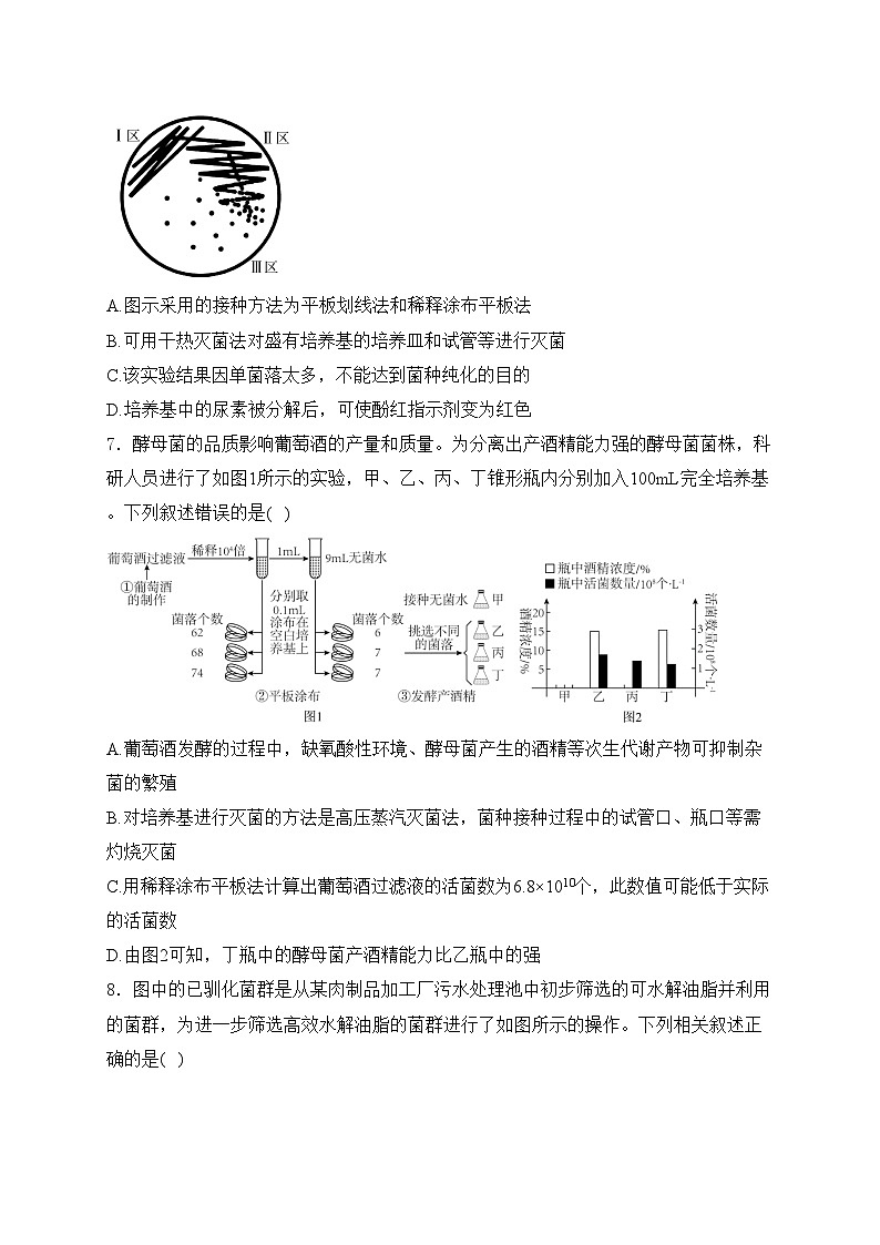 福建省泉州市泉港区第一中学2023-2024学年高二下学期3月月考生物试卷(含答案)第3页