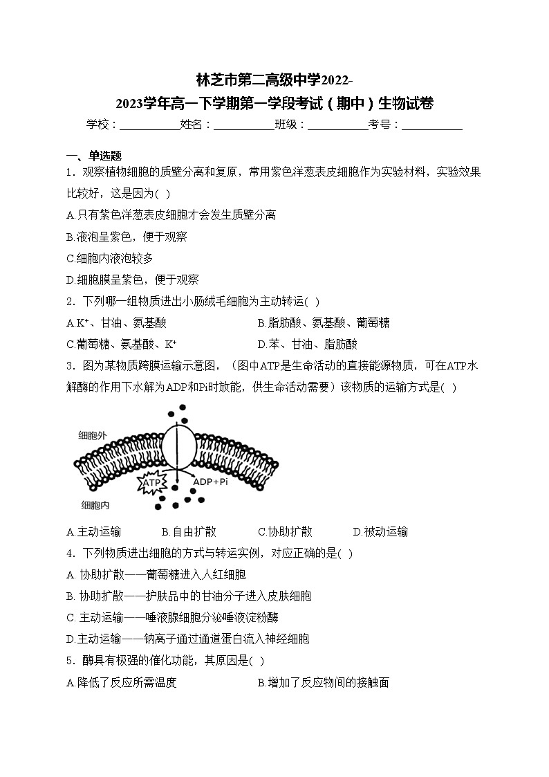 林芝市第二高级中学2022-2023学年高一下学期第一学段考试（期中）生物试卷(含答案)01