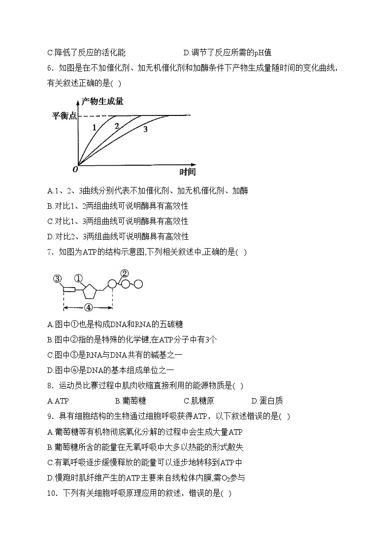 林芝市第二高级中学2022-2023学年高一下学期第一学段考试（期中）生物试卷(含答案)02