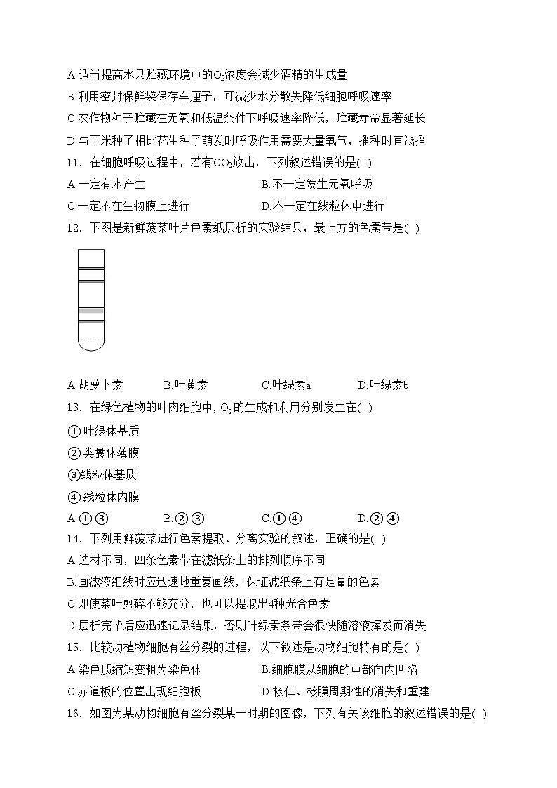 林芝市第二高级中学2022-2023学年高一下学期第一学段考试（期中）生物试卷(含答案)03