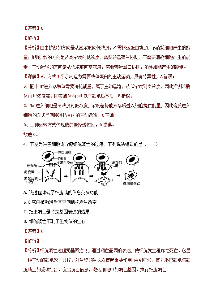 2024届湖南省岳阳市高三下学期教学质量监测生物试题03