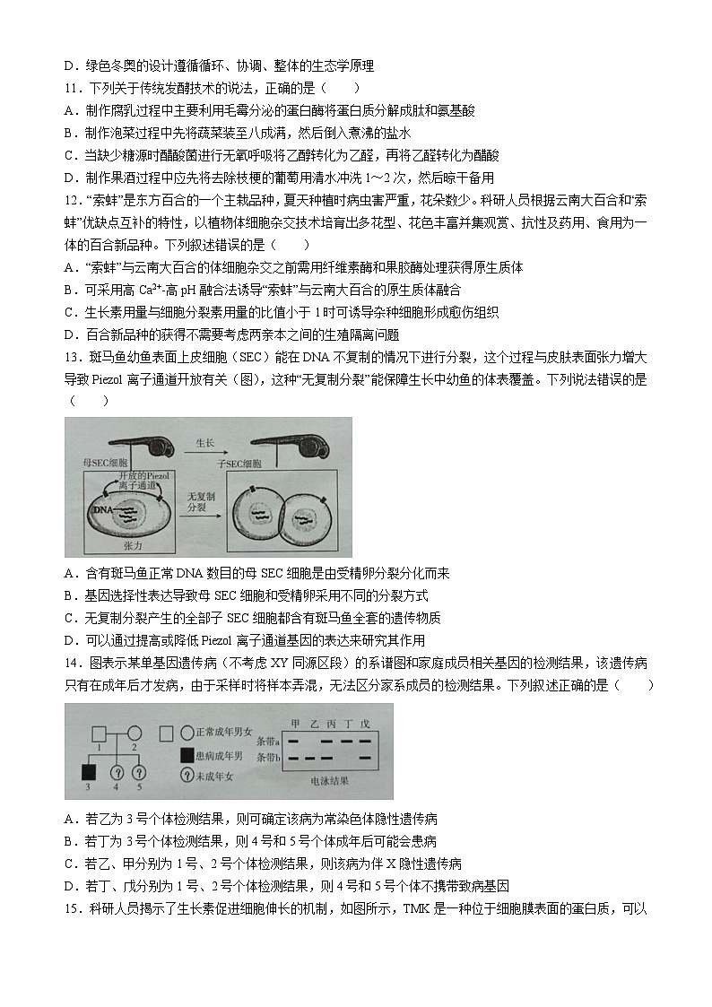 2024广西高三下学期新教材新高考桂柳信息冲刺金卷（四）生物含解析第3页