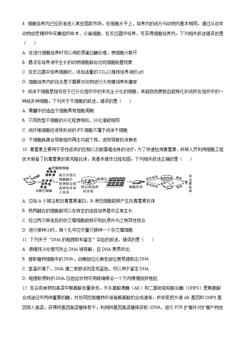 2024沧州运东四校联考高二下学期4月期中考试生物含解析第3页
