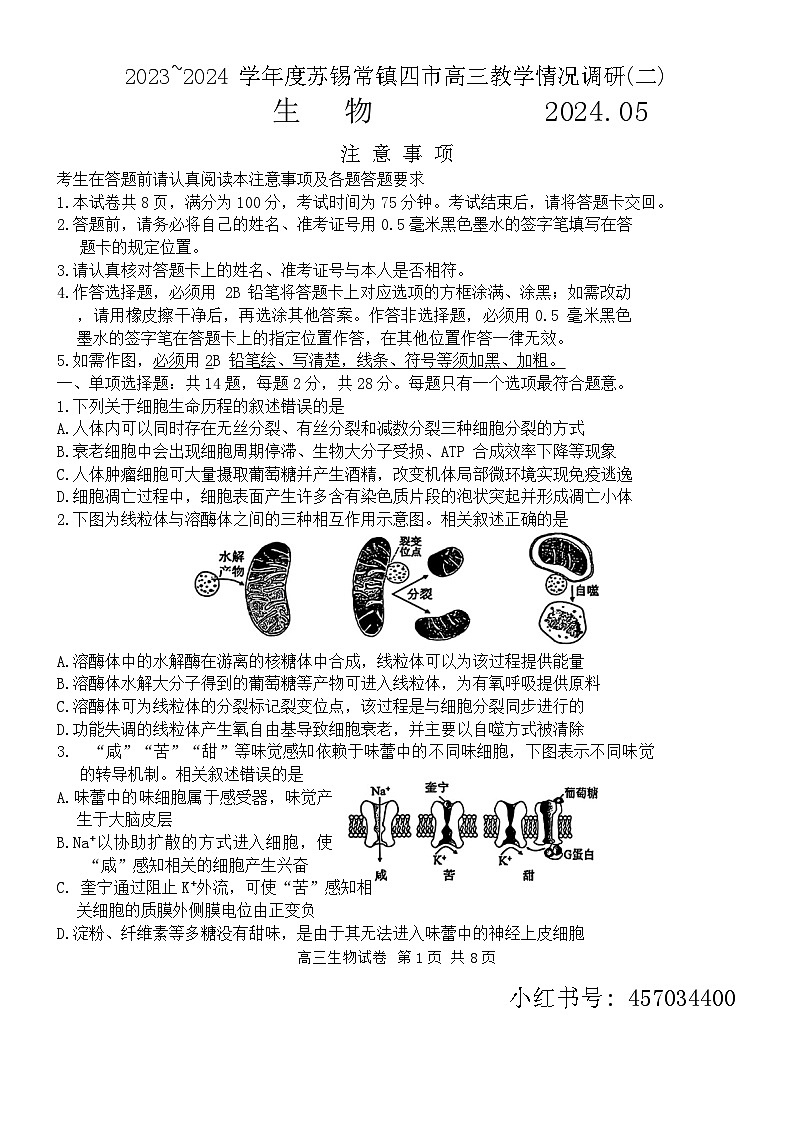 2024届江苏省苏锡常镇四市高三下学期5月教学情况调研(二) 生物试题01
