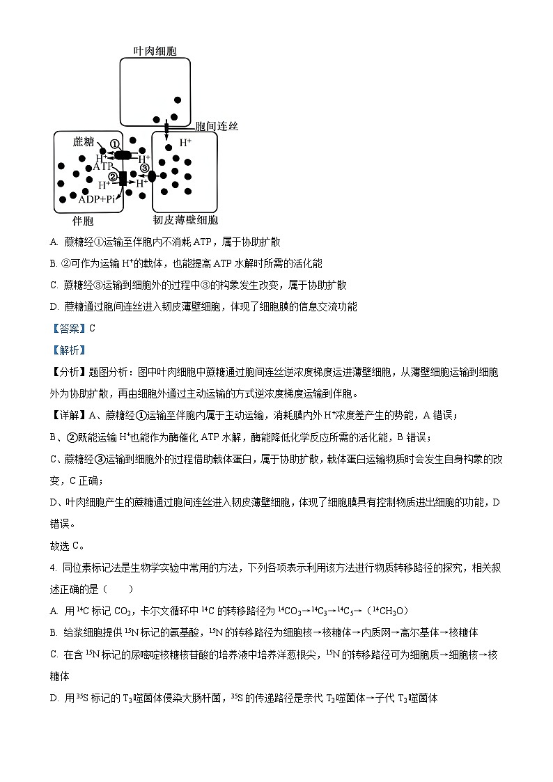 2024届湖南省长沙市一中高考适应性演练二生物试题（原卷版+解析版）03