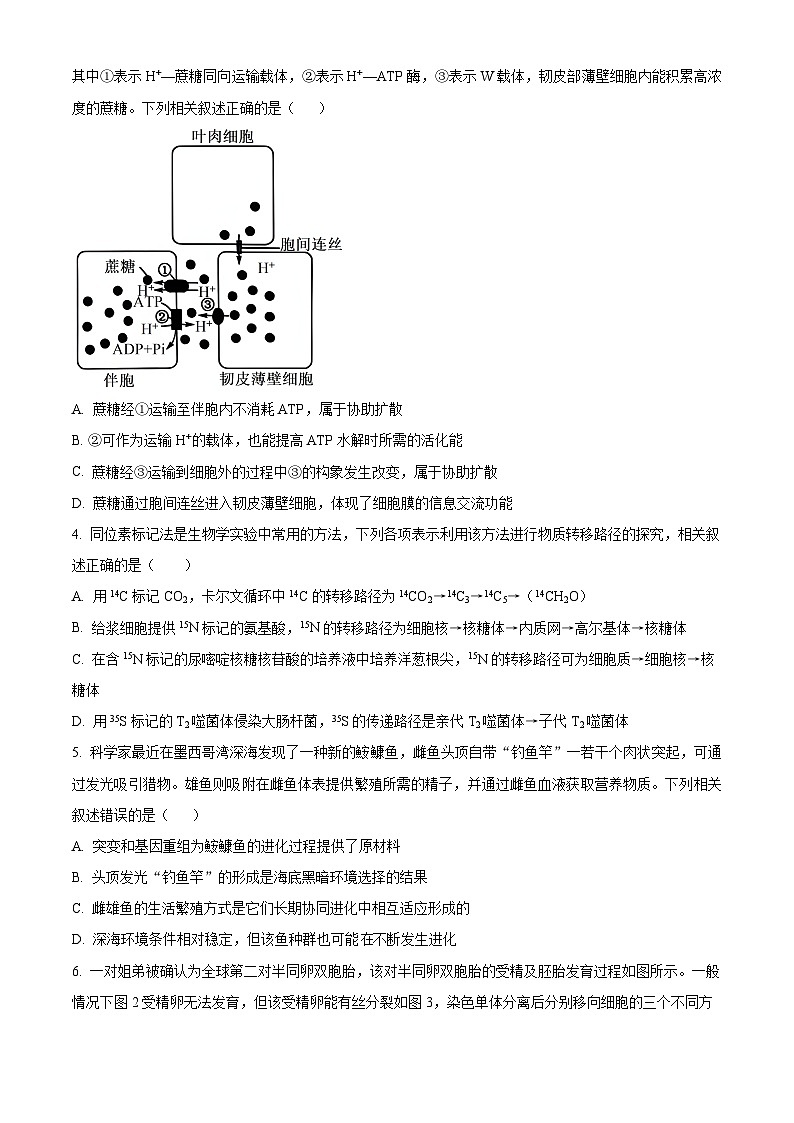 2024届湖南省长沙市一中高考适应性演练二生物试题（原卷版+解析版）02