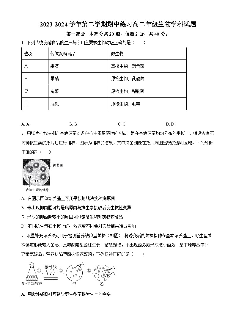 北京市十一学校2023-2024学年高二下学期期中考试生物试题（原卷版+解析版）01