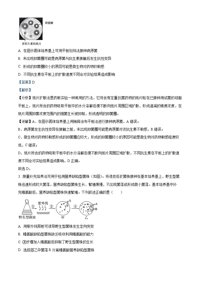 北京市十一学校2023-2024学年高二下学期期中考试生物试题（原卷版+解析版）02