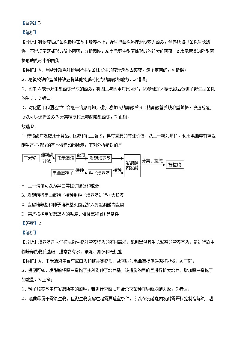 北京市十一学校2023-2024学年高二下学期期中考试生物试题（原卷版+解析版）03