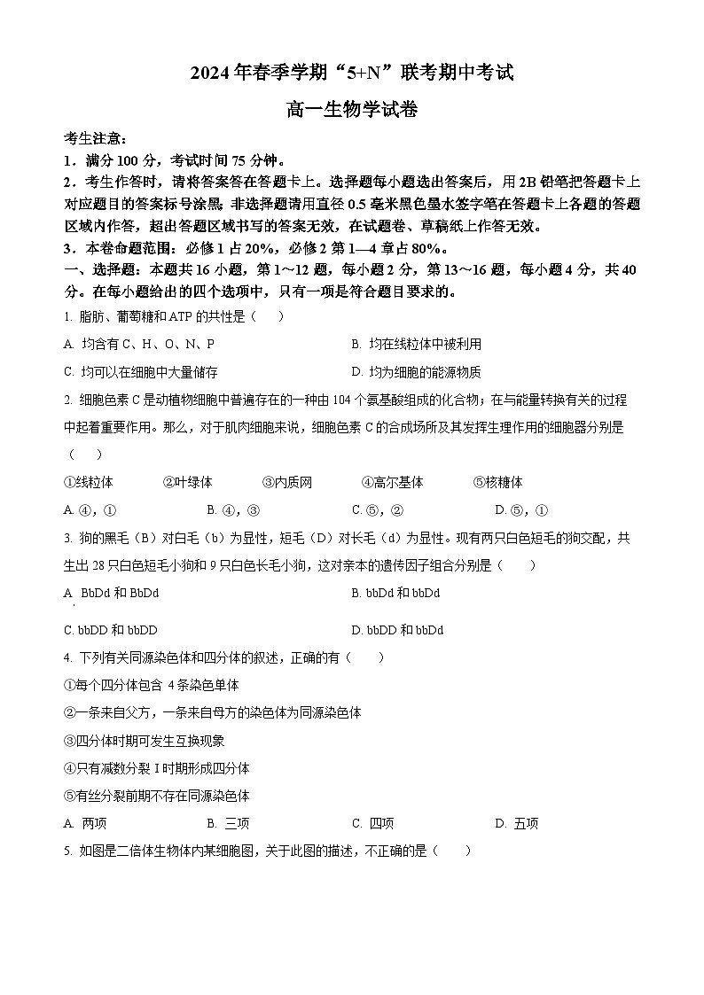广西南宁市2023-2024年高一下学期期中考试生物试卷（原卷版）第1页