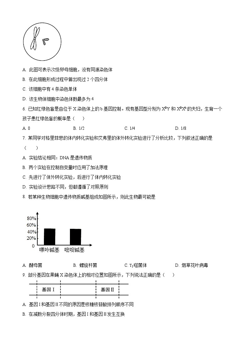 广西南宁市2023-2024年高一下学期期中考试生物试卷（原卷版）第2页