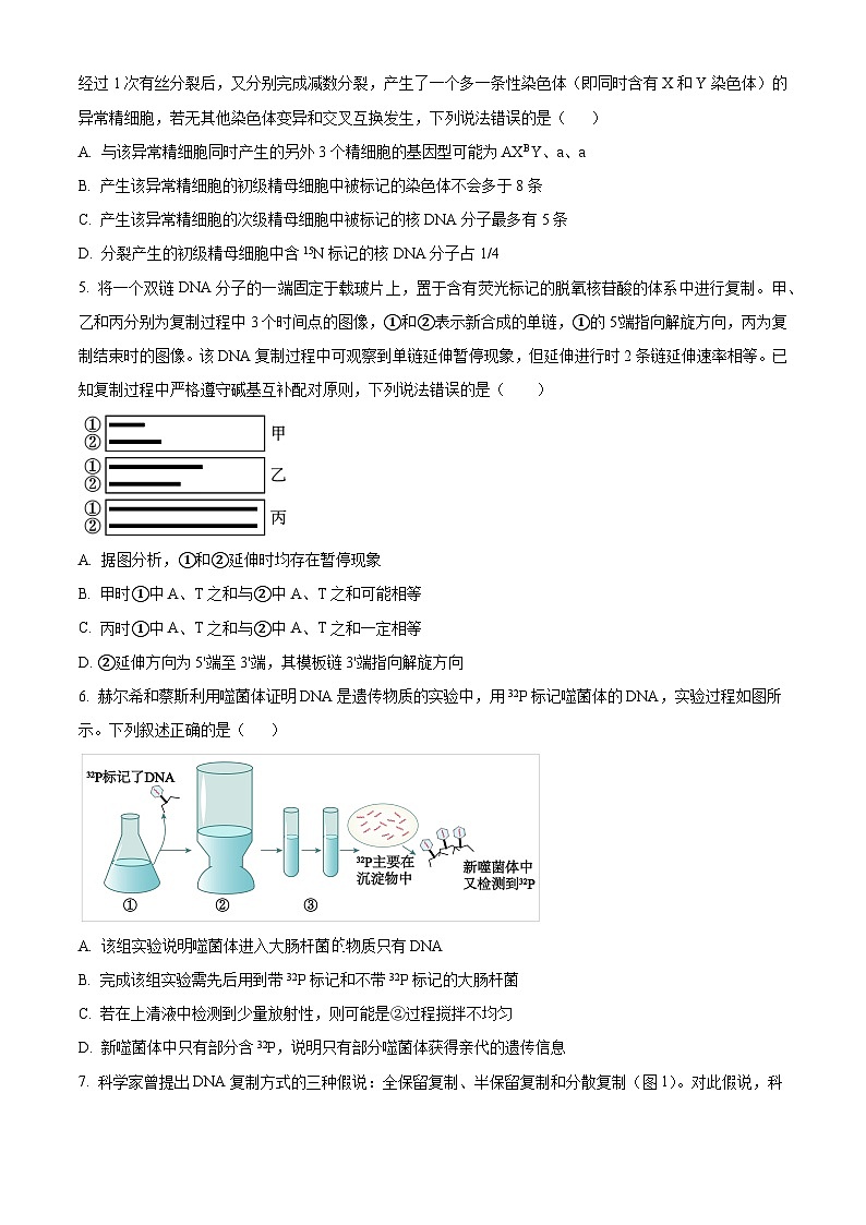 广西钦州市第四中学2023-2024学年高一下学期期中考试生物试卷（原卷版+解析版）02