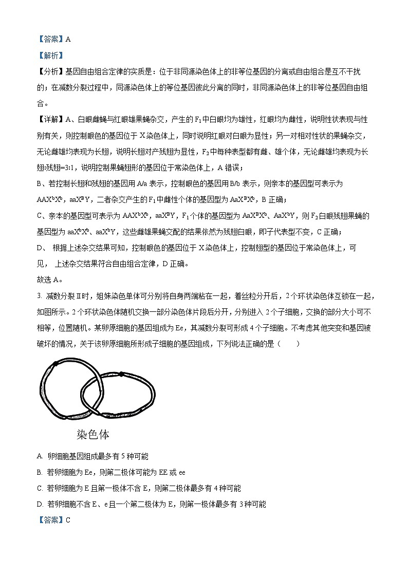 广西壮族自治区钦州市钦南区第四中学2023-2024学年高一下学期4月份考试生物试卷（原卷版+解析版）02