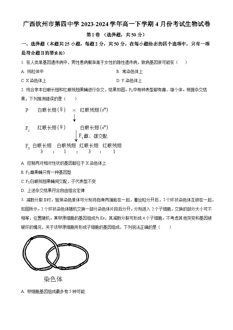 广西壮族自治区钦州市钦南区第四中学2023-2024学年高一下学期4月份考试生物试卷（原卷版+解析版）01