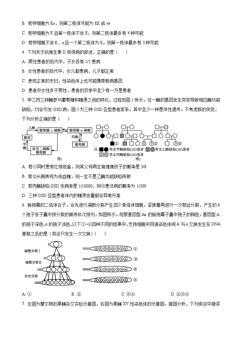 广西壮族自治区钦州市钦南区第四中学2023-2024学年高一下学期4月份考试生物试卷（原卷版+解析版）02