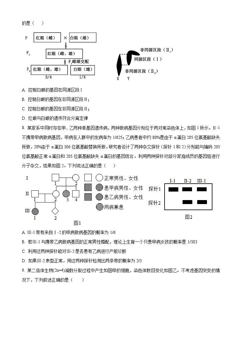 广西壮族自治区钦州市钦南区第四中学2023-2024学年高一下学期4月份考试生物试卷（原卷版+解析版）03