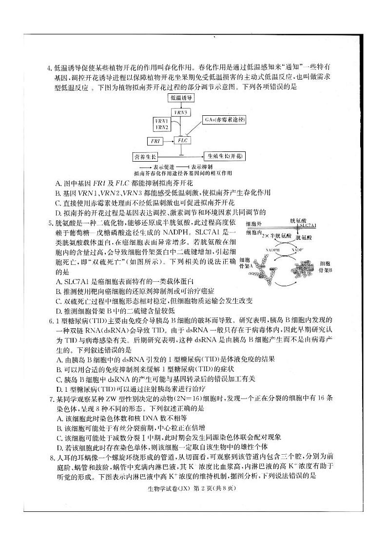 2024届新高考教学教研联盟高三第二次联考试卷生物第2页