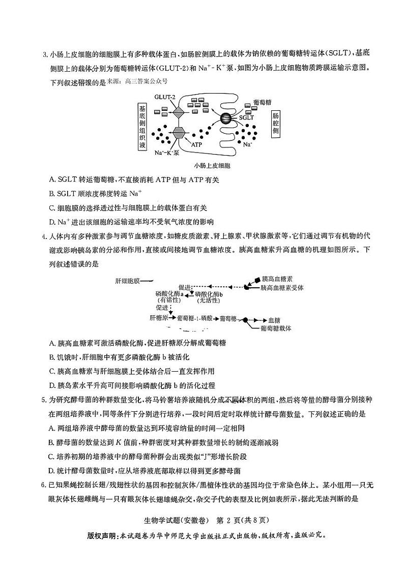 生物学试卷第2页