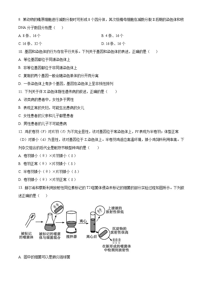 广东省梅州市兴宁市第一中学2023-2024学年高一下学期期中考试生物试题（原卷版+解析版）03