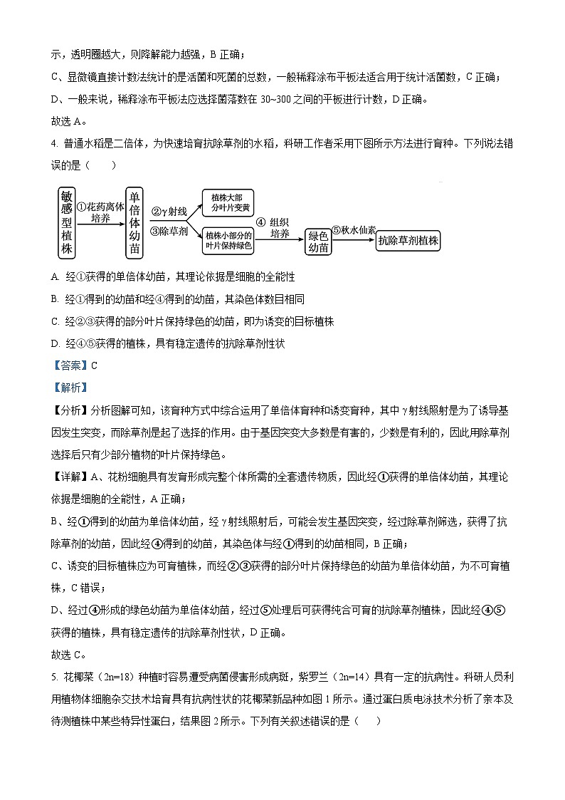 江苏省淮安市金湖中学，清江中学，涟水郑梁梅高级中学等2023-2024学年高二下学期4月期中生物试题（解析版）第3页