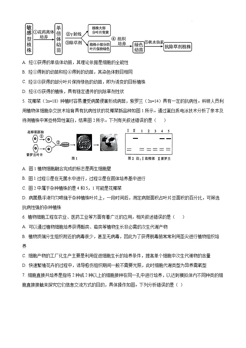 江苏省淮安市金湖中学，清江中学，涟水郑梁梅高级中学等2023-2024学年高二下学期4月期中生物试题（原卷版）第2页