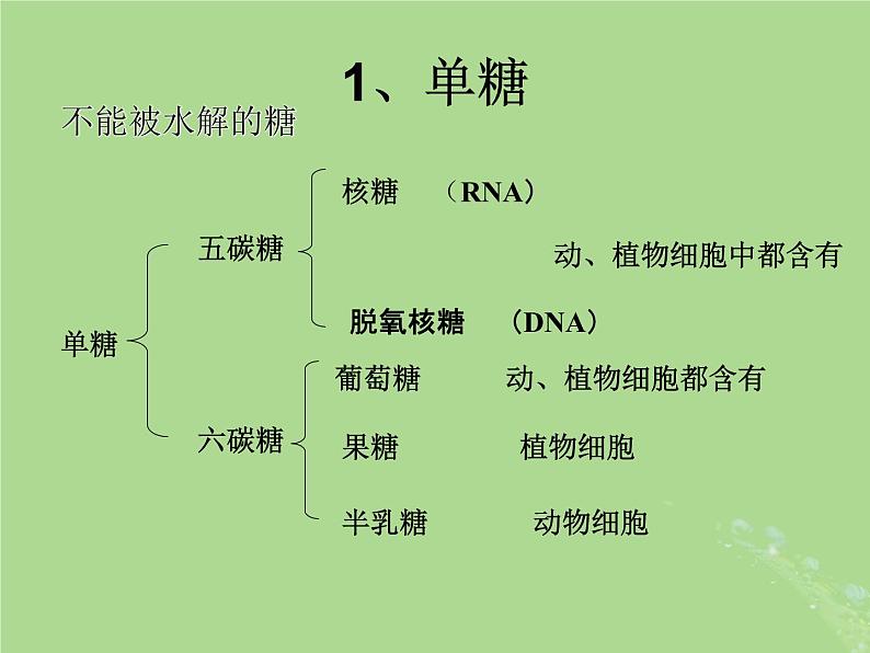 2024年同步备课高中生物1.2细胞中的糖类和脂质课件苏教版必修108