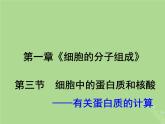 2024年同步备课高中生物1.3细胞中的蛋白质和核酸1课件苏教版必修1