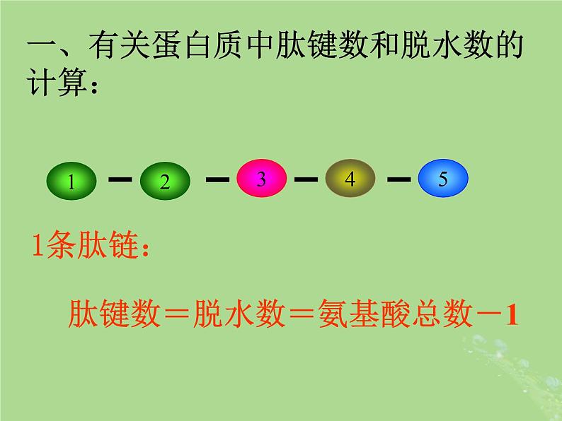 2024年同步备课高中生物1.3细胞中的蛋白质和核酸1课件苏教版必修102