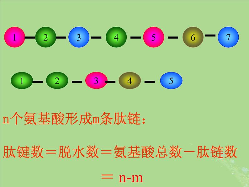 2024年同步备课高中生物1.3细胞中的蛋白质和核酸1课件苏教版必修103