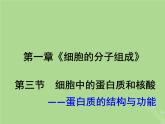 2024年同步备课高中生物1.3细胞中的蛋白质和核酸2课件苏教版必修1