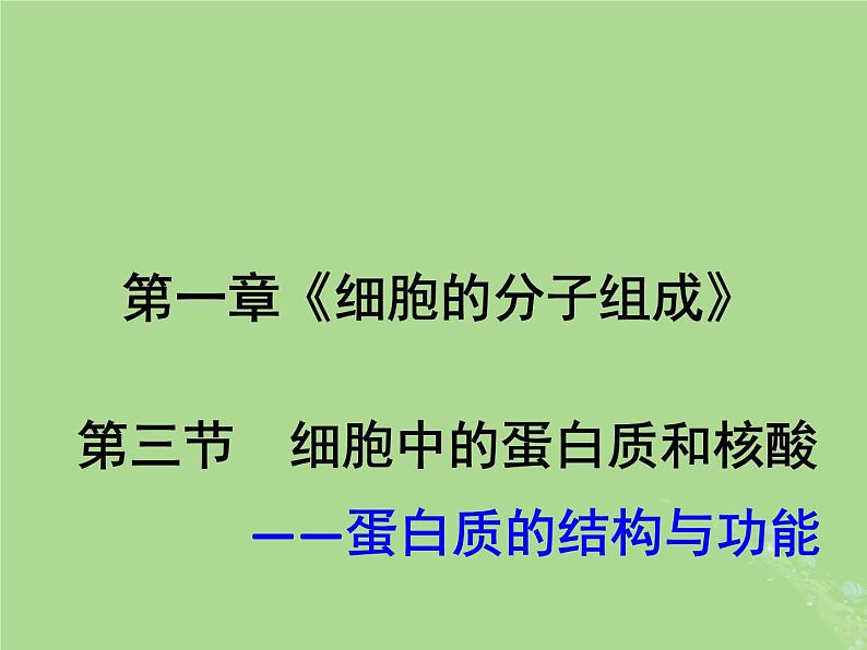 2024年同步备课高中生物1.3细胞中的蛋白质和核酸2课件苏教版必修1第1页