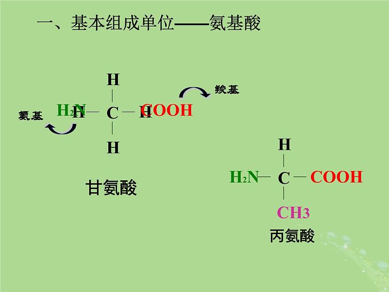 2024年同步备课高中生物1.3细胞中的蛋白质和核酸2课件苏教版必修1第3页