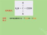 2024年同步备课高中生物1.3细胞中的蛋白质和核酸2课件苏教版必修1